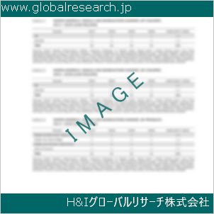 グローバルリサーチ調査資料のイメージ